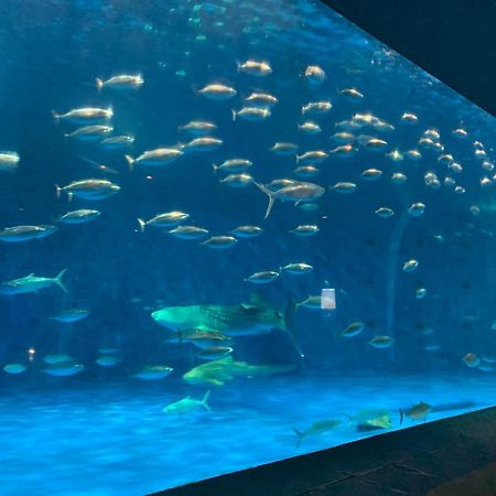 Aqua Garden Hotel Fukumaru Kagoshima Exterior photo