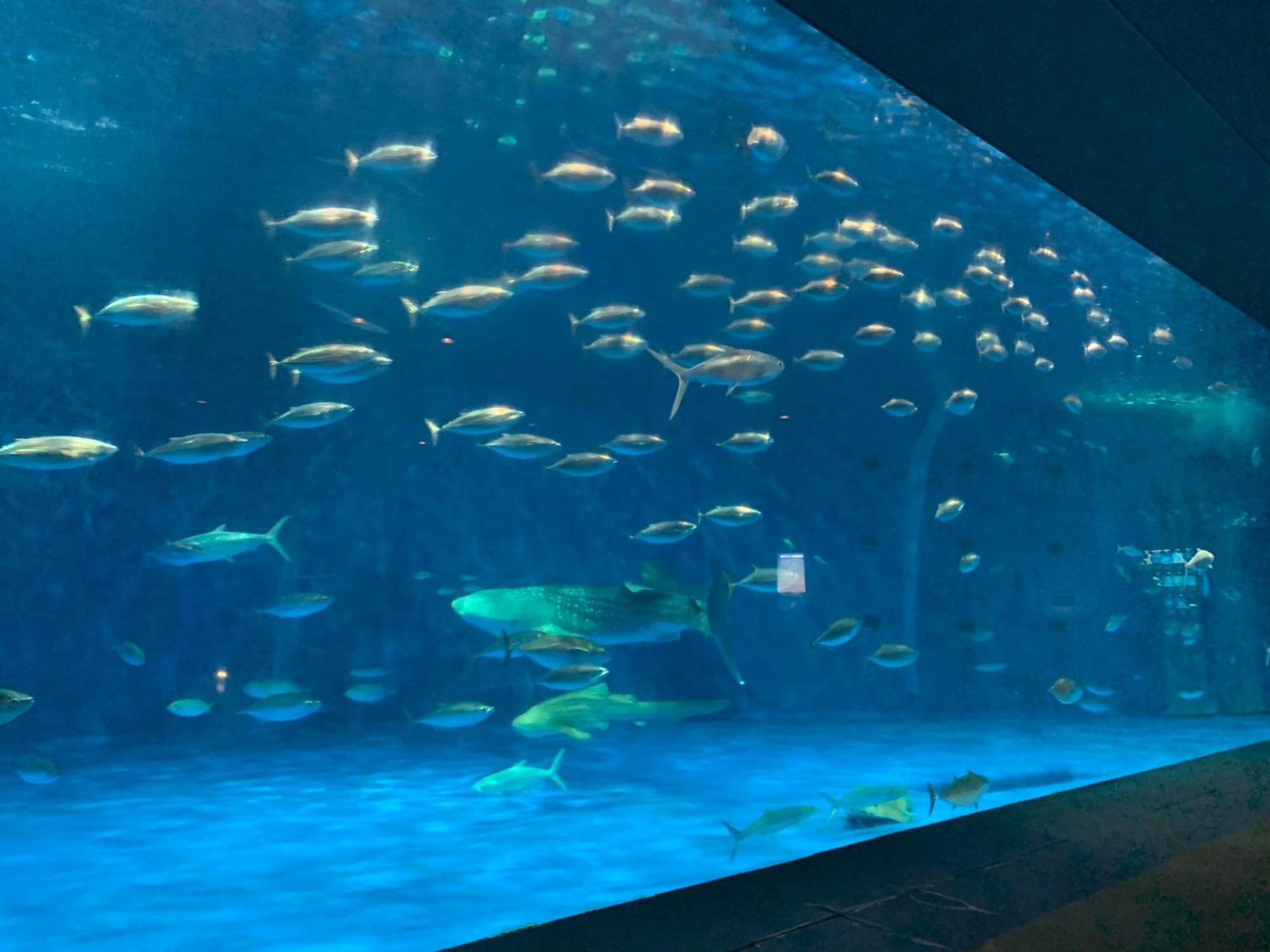 Aqua Garden Hotel Fukumaru Kagoshima Exterior photo